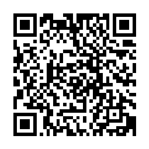 我就不信他有你说的那么神奇――如果他当真有几分实力的话二维码生成