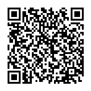 我就有把握将我们家族的血脉提纯到可以比拟上古科莫音巨蛇的层次二维码生成
