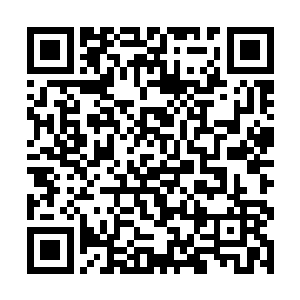 我就看不得你这种口是心非的德行……事实摆在眼前二维码生成