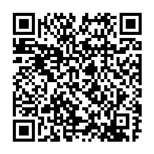 我就觉得奇怪他们怎么会放着好好的皇宫不住偏要到那环境恶劣的边塞去生活呢二维码生成