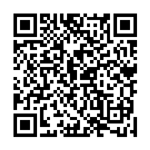 我就该去和那些赞助商重新谈一谈你的代言合同的价钱了二维码生成