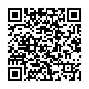 我岂不是在某种程度上成为了境界和领主的双域主二维码生成