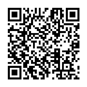 我已经安排你去哥伦比亚大学攻读一个经济学博士学位二维码生成