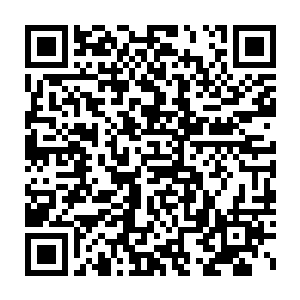 我已经将藏经的中枢核心炼化了80后面的20对我来说没有任何问题二维码生成