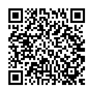 我已经开始感受到你曾提过的种族间的爱恨情仇和相爱相杀了二维码生成