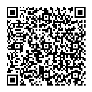 我已经派细作将你这里发生了大火的消息以及和十国之间反目成仇的消息在昨日就传给了厥罗大军二维码生成