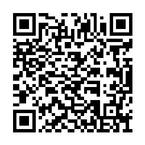 我已经见惯了那些域主界主动辄用星域域界攻击二维码生成