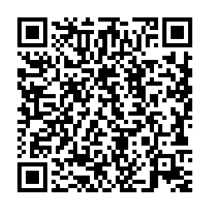 我师父现在算是忆起了他被人刻意封印的记忆以及他健忘失却的记忆二维码生成