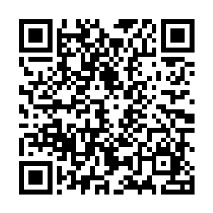 我希望你们东海龙宫也能帮我们雷家在血芒界抢回封地二维码生成