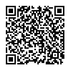 我带你去看看我对于我们天宇星未来数年的发展而做出的一份计划书二维码生成