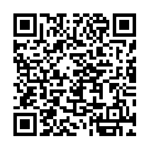 我并没无理取闹到让余管家去准备那种不可能存在的午餐二维码生成