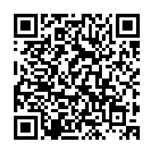 我建议你们东崮区和几个乡镇主要领导也要专题研究这件事情二维码生成