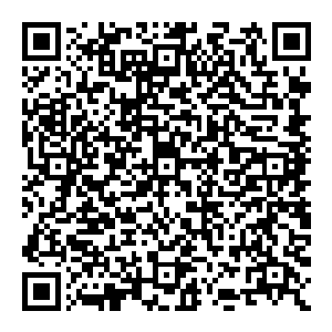 我建议咱们现在要先稳住还在的那些主播 至少要把福利往上提上去 和海天直播间那边一样 他们收入的分配比高达9二维码生成