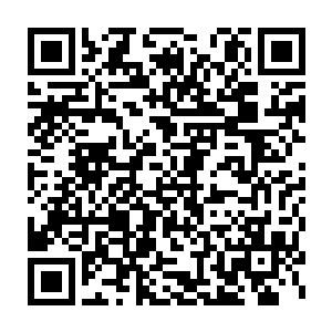 我当时真的……真的没想要将这个珍珠手链当做给你的定情信物的……二维码生成