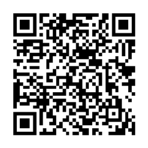 我当然知道现在的实力不足以硬撼他混沌期和攻剑势的实力二维码生成