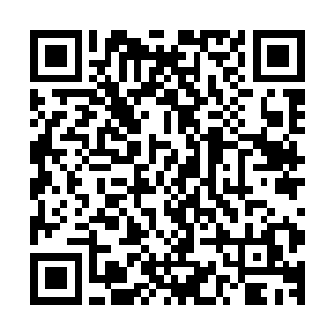 我很感激宫主让我留在圣宫并且给我真传弟子级别的修炼资源二维码生成