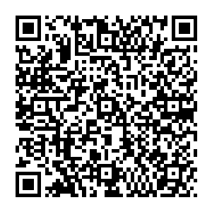 我很无奈替命果绝迹了数千年了修界中很多修士知道替命果的名称和功效但是更具体的信息就不清楚了二维码生成