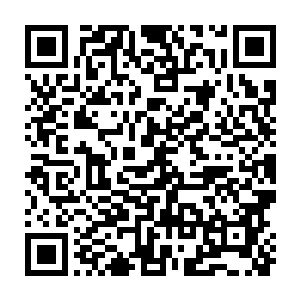 我心里已经开始问候周标那个从来没见过的老婆和他那个死得也算惨的老娘了二维码生成