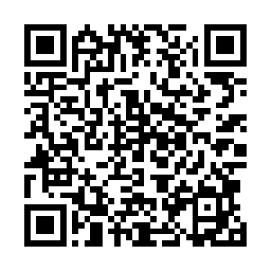 我忍不住想起张璐涵笔记本里后面那一篇还没完结的小说二维码生成