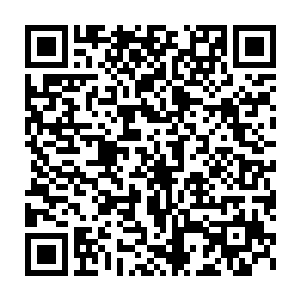 我怎么会从出生就是肮脏的魔族血统如果她没有用血胎之术创造了重葵二维码生成