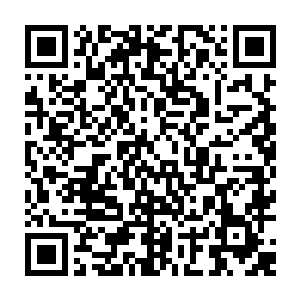 我怎么看师兄象只狗一样听从那群贼子的号令将我宗门的各种机密尽数通报二维码生成