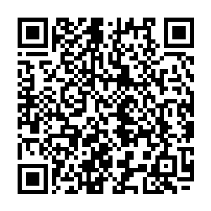 我怎么知道那猫咪去哪里了……肯定是跑了……你俩也不是没看到它的移动速度二维码生成