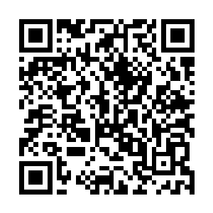 我怕候县长下一步会调整到乡镇企业改制领导小组上去了二维码生成