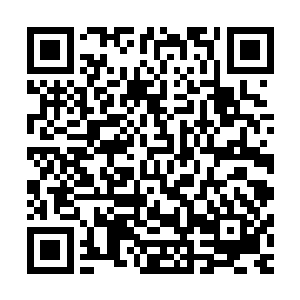 我怕家族可赐予你万快极品灵石以及一尊妖王后期的尸骨……二维码生成