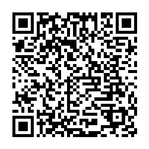 我总算是知道你这几天为什么一脸活似别人欠了你二五八万的表情了二维码生成