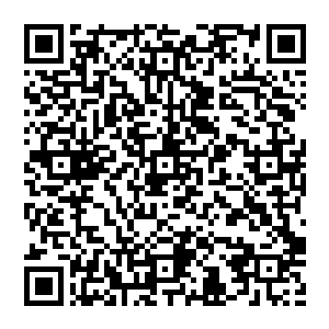 我想写的是方火火不屈不挠一次次被打倒再一次次爬起来催人泪下最终绝地反击我他妈都写成什么啊二维码生成