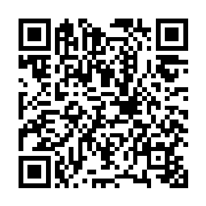 我想到一个办法可以猎到很多猎物又不会受伤的办法了二维码生成