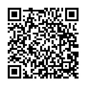 我感到你在前几天的拍摄中已经本能地捕捉到了这样的情绪……二维码生成