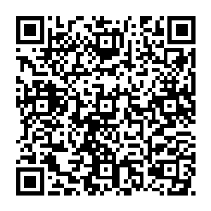 我感觉……南皇朝海出现的那两条奇怪的生物绝对会让整个世界震惊……到了那时二维码生成