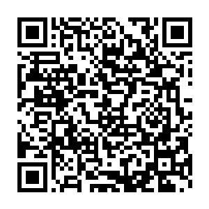 我愿意从此以后生生世世做您一个人的奴才……救我救我……啊啊……二维码生成