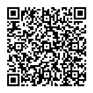 我懊恼不已要不是开始的时候只顾着追赶引劫果现在的我估计能收取一大堆帝级药草了二维码生成