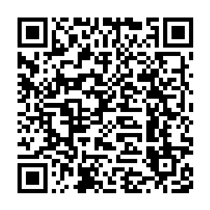 我我…我没有对你下毒…我真没有啊……我哪里知道什么是毒啊……二维码生成