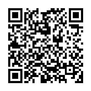 我所创造的条件绝对不会伤害到任何一个人族或者是海族的生命二维码生成