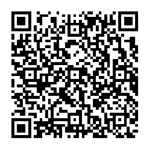 我所在的峰脉便是有两位玄级弟子和四位黄级弟子已经十几位入门弟子便是丧生在这里二维码生成
