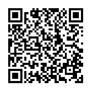 我所掌握的不过是利用时间之力的一种媒介力量罢了二维码生成