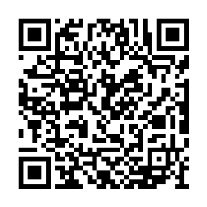 我才在董事会屡次提议解雇你的情况下力排众议二维码生成