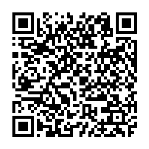 我拉上他说左右实体独眼无法远离建仁寺多一事不如少一事速度离开就是二维码生成