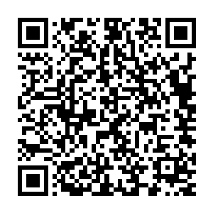 我捏着这块好长一段时间被我放在背包里面掏出掏去没什么用的红布二维码生成