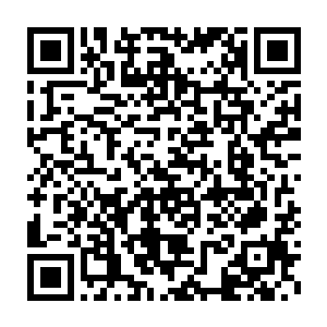 我掌握的血脉神通可是你们黑龙族的血脉神通还有土龙族的血脉神通二维码生成