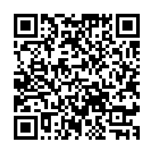 我族几乎每隔一段时间都会拿出一部分来与外界武者进行交换二维码生成