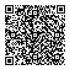 我无法容忍伟大的民族虽遭受过无数次血与火的洗礼却仍健忘历史血训就在民族复兴的今天已然散漫如盘中沙二维码生成