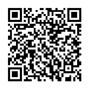 我早就想试试这玩意儿用在你们这些疯子身上会有什么效果了二维码生成