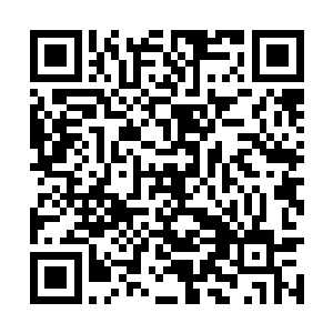 我早知道有人会来救我以及这四万百姓于水火之中二维码生成