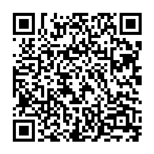 我昨晚是跟雯雯一起睡觉的 她可以给我作证 这水果刀就是我用來削水果的 二维码生成