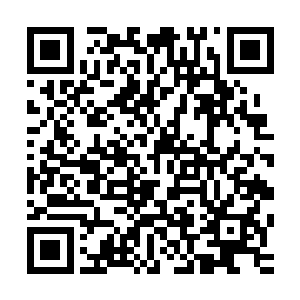 我是――我是不能适应去拍一部商业价值完全不被看好的电影二维码生成