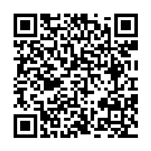 我是在执行任务……没想到他们会这么快就对我下手……二维码生成